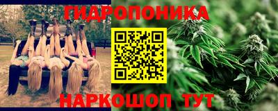 PSILOCYBIN Кулебаки