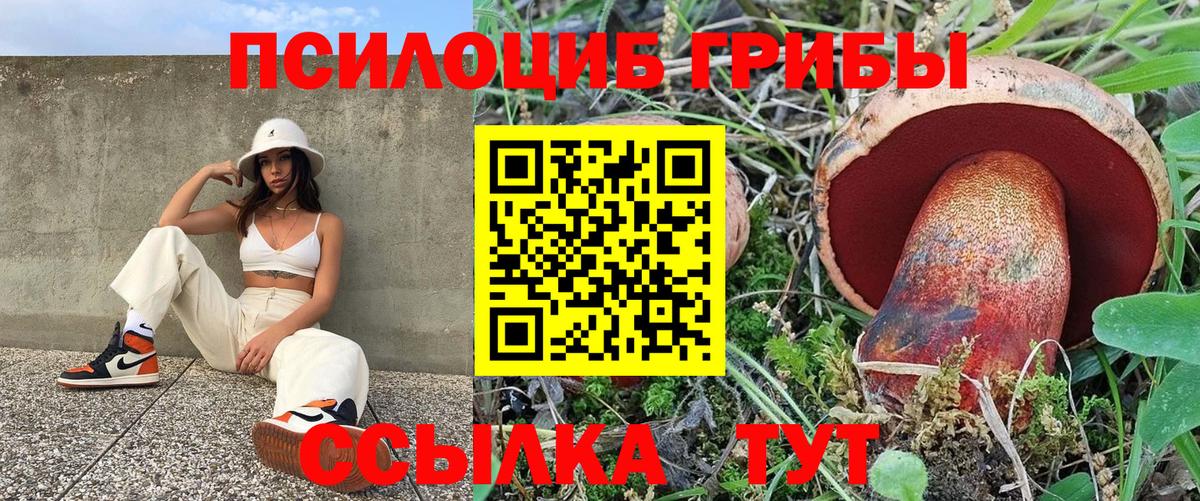 Партизанск  Галлюциногенные грибы MAGIC MUSHROOMS  Галлюциногенные грибы MAGIC MUSHROOMS  Вход с VPN 