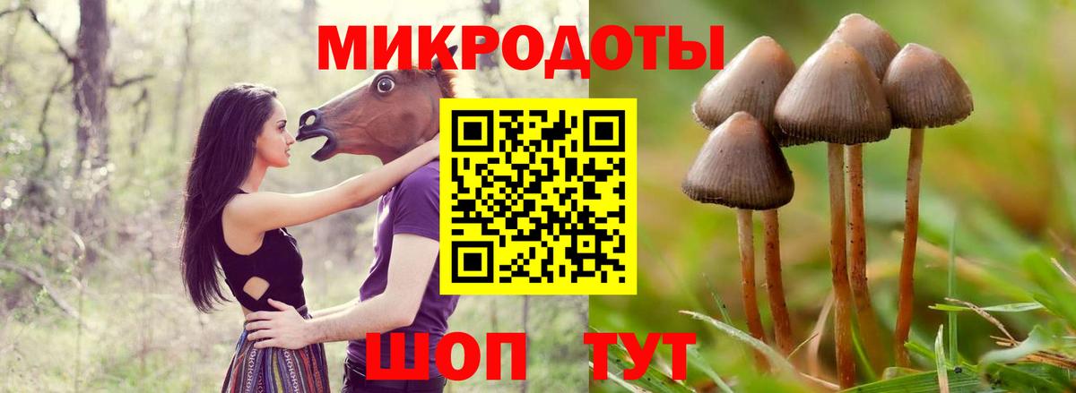 Псилоцибиновые грибы Cubensis Партизанск